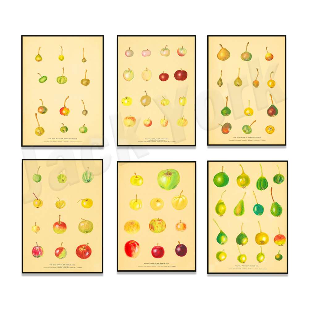 Poster dapur buah Poster antik - Plant Jackfruit ulasan dan harga